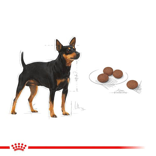 ROYAL CANIN® Mini Digestive Care Dry Food