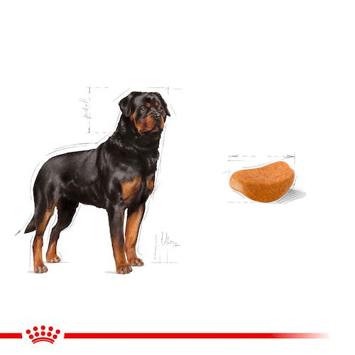 ROYAL CANIN® Rottweiler Adult Dry Food