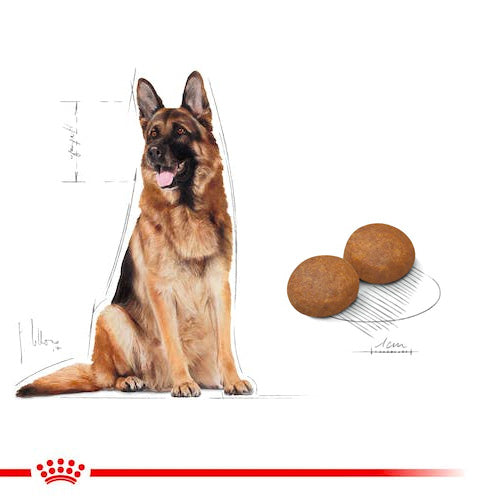 ROYAL CANIN® Size Health Nutrition Maxi Adult 5+ Dry Food