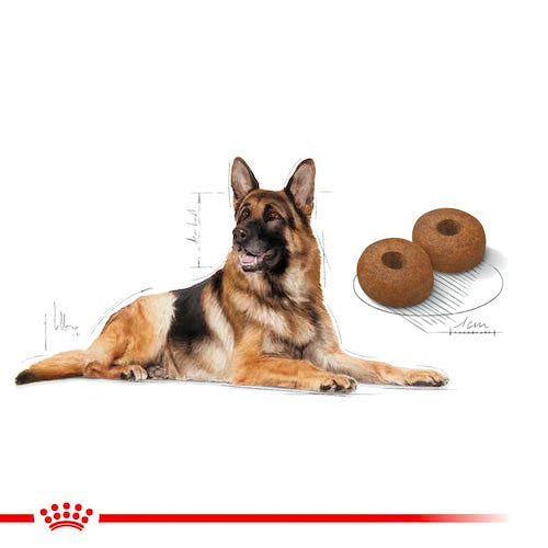 ROYAL CANIN® Size Health Nutrition Maxi Adult 8+ Dry Food