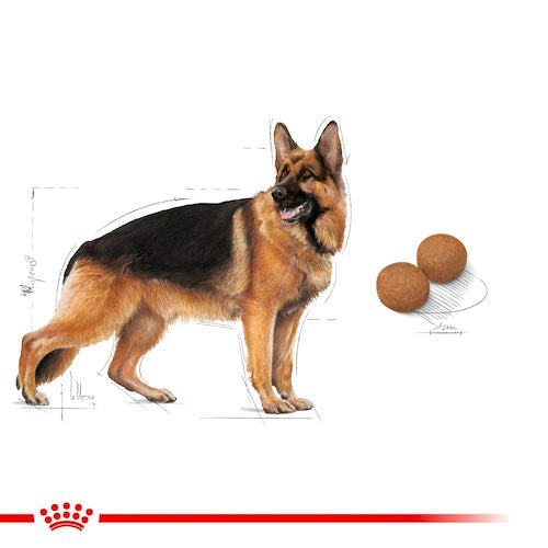 ROYAL CANIN® Size Health Nutrition Maxi Adult Dry Food