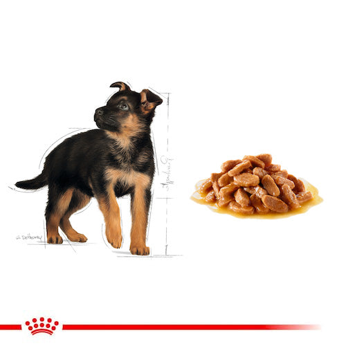ROYAL CANIN® Size Health Nutrition Maxi Puppy Wet Food