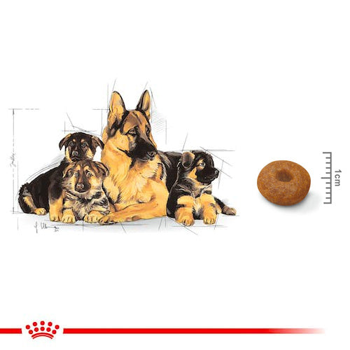 ROYAL CANIN® Size Health Nutrition Maxi Starter Dry Food