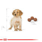 ROYAL CANIN® Size Health Nutrition Medium Puppy Dry Food