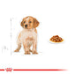 ROYAL CANIN® Size Health Nutrition Medium Puppy Wet Food