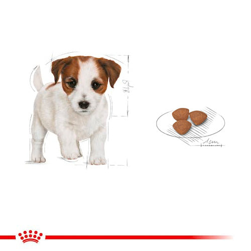 ROYAL CANIN® Size Health Nutrition Mini Puppy Dry Food