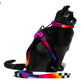Zee.Cat Prisma Harness & Leash Set