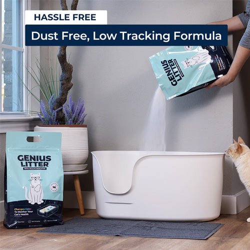 Genius Litter - Advanced Health Monitoring Cat Litter - Pooch Pet Stores
