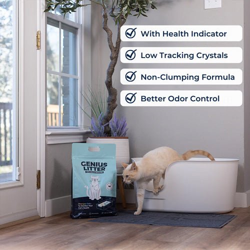 Genius Litter - Advanced Health Monitoring Cat Litter - Pooch Pet Stores