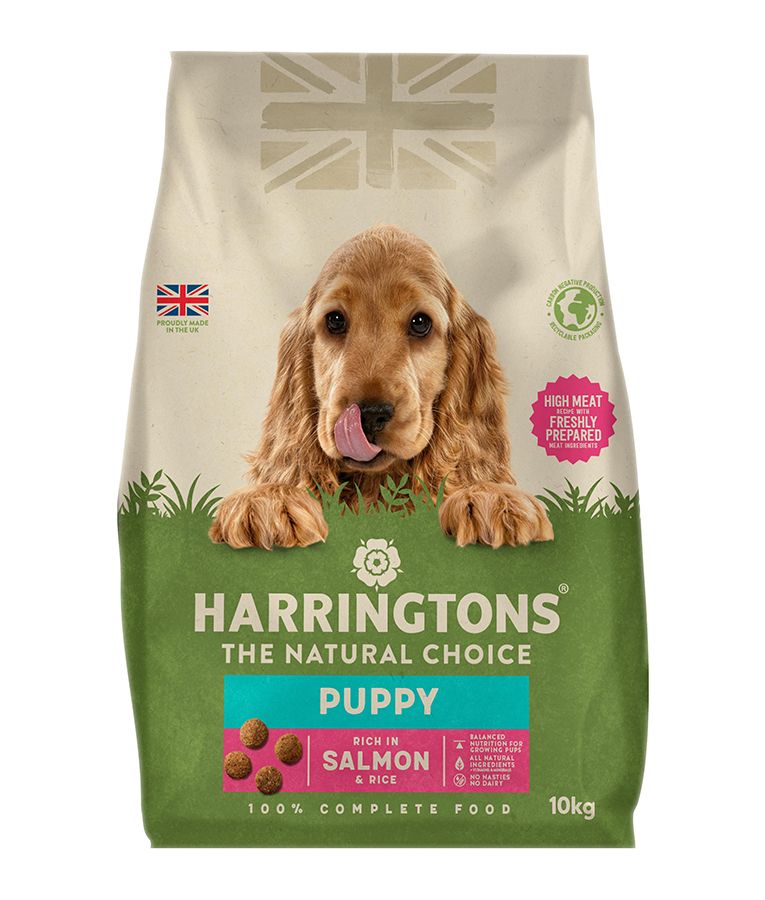 Harringtons Complete Salmon & Rice Dry Puppy Food