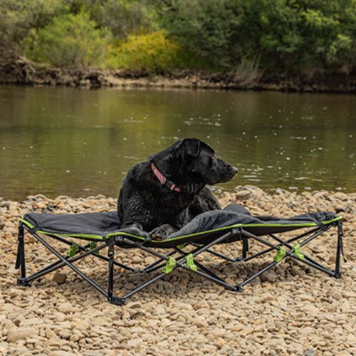 Ironman 4x4 - Quick Fold Dog Bed with Padded Mat - Pooch Pet Stores