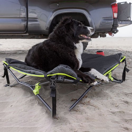 Ironman 4x4 - Quick Fold Dog Bed with Padded Mat - Pooch Pet Stores
