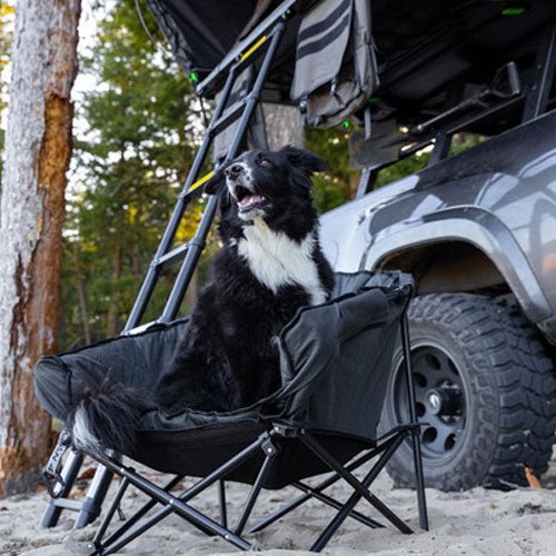 Ironman 4x4 - The Pet Lounger - Pooch Pet Stores