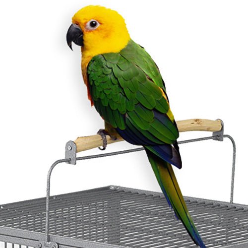 MidWest Poquito Avian Hotel Bird Cage - Pooch Pet Stores