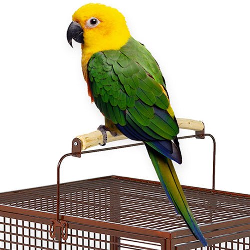 MidWest Poquito Avian Hotel Bird Cage - Pooch Pet Stores