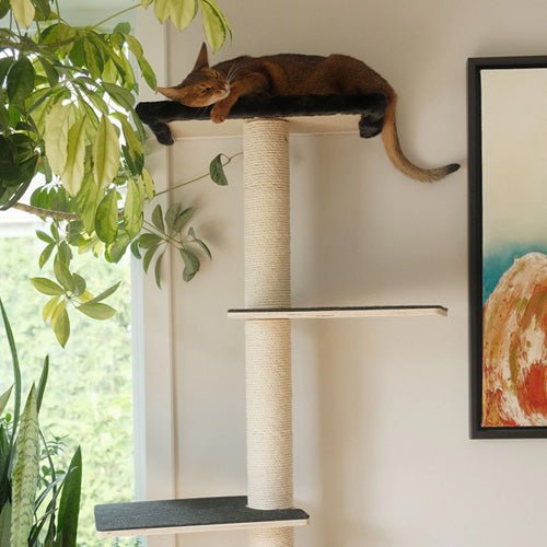 Noba® Mural Cat Tower - Pooch Pet Stores