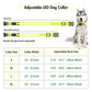 GLO Rechargable LED Collar