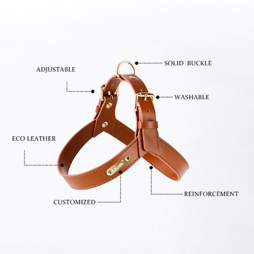 Artie Leather Harness