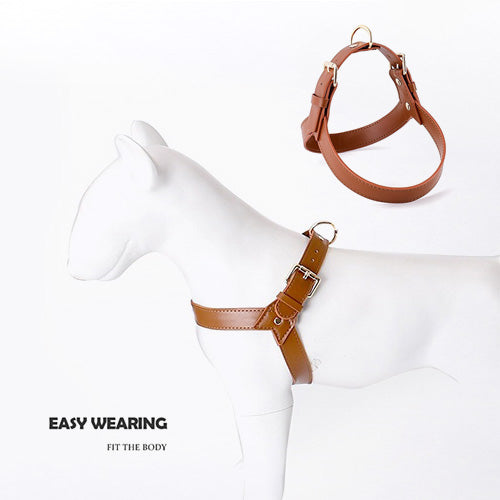 Artie Leather Harness