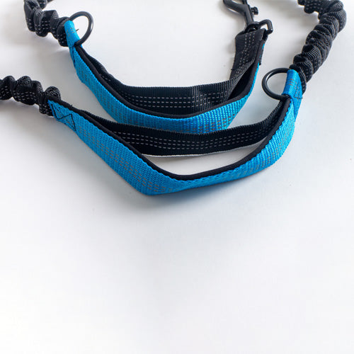 Bungee No Pull Hands Free Dog Leash