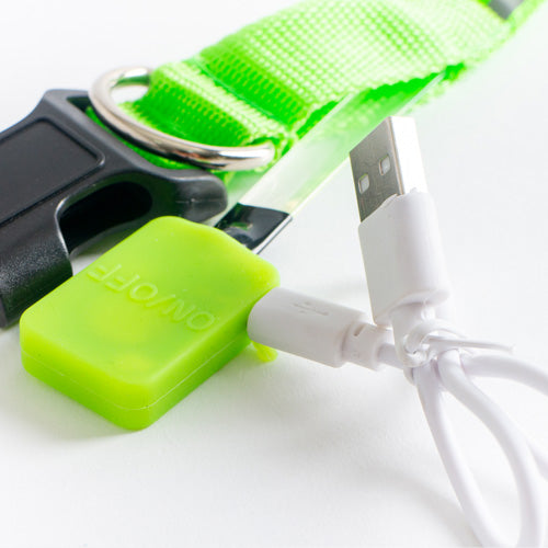 GLO Rechargable LED Collar