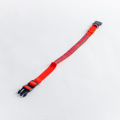 GLO Rechargable LED Collar