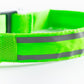GLO Rechargable LED Collar
