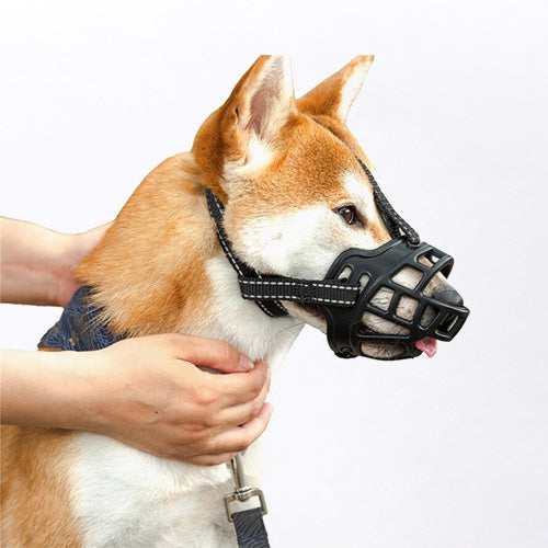 Paco Dog Muzzle