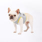 Ray Cooling Harness for Dog - Pooch Pet Stores LLC