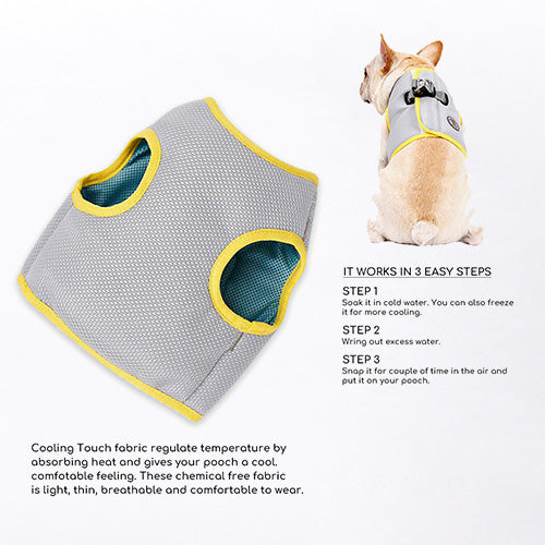 Ray Cooling Harness for Dog - Pooch Pet Stores LLC