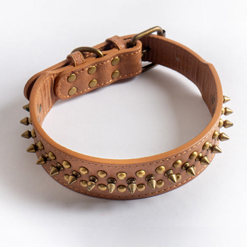 Spiky Dog Collar