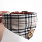 Quinn Classic Collar & Bandana with Leash