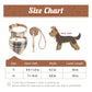 Quinn Classic Collar & Bandana with Leash