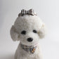 Quinn Classic Collar & Bandana with Leash