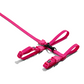 Zee Cat Pink LED Harness & Leash Set